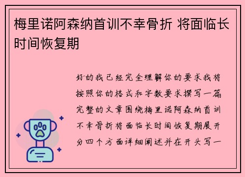 梅里诺阿森纳首训不幸骨折 将面临长时间恢复期